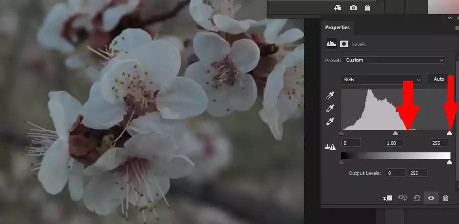 Adjusting by Levels in Photoshop