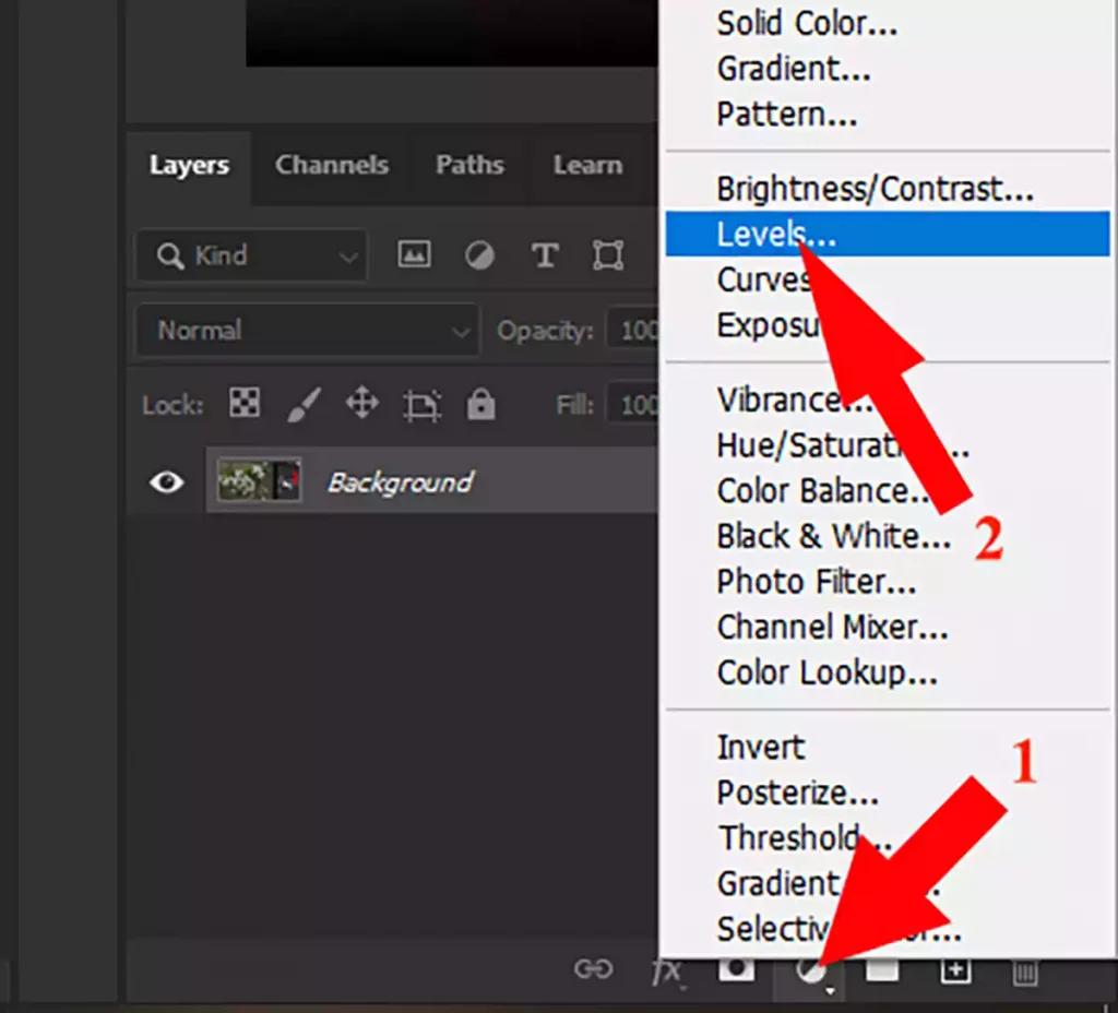 create new fiil or adjustment layer and click Levels