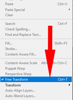 Free Transform