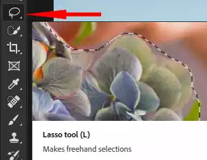 Lasso Tool